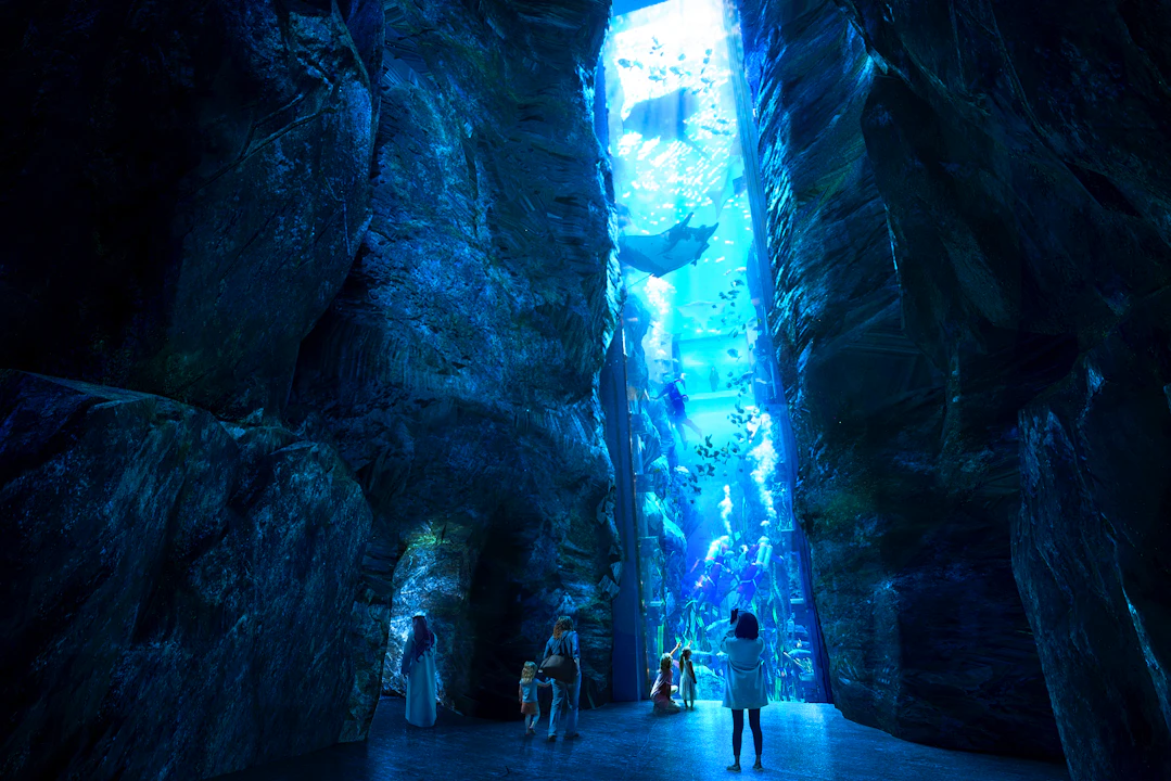 Yas Island Multi-Park Tickets: Ferrari, SeaWorld, Yas Waterworld, Warner Bros Category